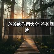 芦荟的作用大全|芦荟图片（图3）