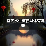 室内水生植物具体有哪些（图4）