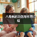 八角枫的功效与作用介绍（图1）