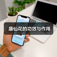 康仙花的功效与作用（图2）