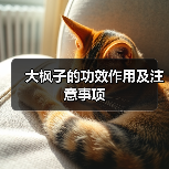 大枫子的功效作用及注意事项（图4）