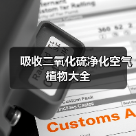 吸收二氧化硫净化空气植物大全（图4）