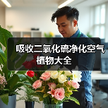 吸收二氧化硫净化空气植物大全（图2）