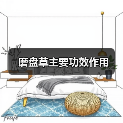 磨盘草主要功效作用（图3）