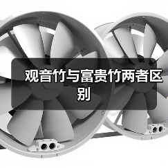 观音竹与富贵竹两者区别（图2）