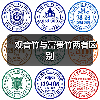 观音竹与富贵竹两者区别（图3）