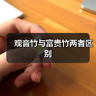 观音竹与富贵竹两者区别（图1）