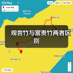观音竹与富贵竹两者区别（图4）