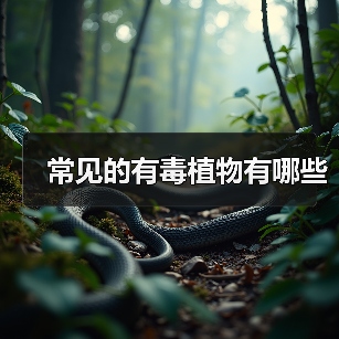 常见的有毒植物有哪些（图4）