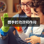 茵芋的功效和作用（图4）