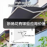 断肠花有哪些应用价值（图2）
