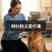 柳杉的主要价值（图1）