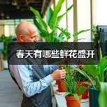 春天有哪些鲜花盛开（图4）