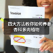 四大方法教你如何养番杏科多肉植物（图3）