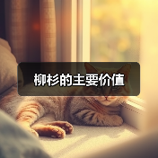 柳杉的主要价值（图4）