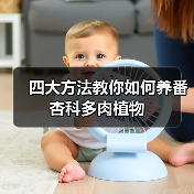 四大方法教你如何养番杏科多肉植物（图1）