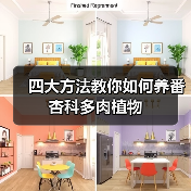 四大方法教你如何养番杏科多肉植物（图4）