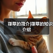 葎草的简介|葎草的知识介绍（图2）