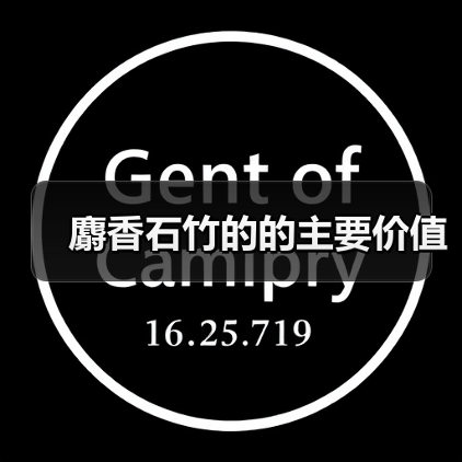 麝香石竹的的主要价值（图1）