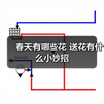 春天有哪些花 送花有什么小妙招（图2）