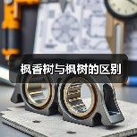 枫香树与枫树的区别（图1）