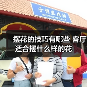 摆花的技巧有哪些 客厅适合摆什么样的花（图4）