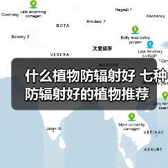 什么植物防辐射好 七种防辐射好的植物推荐（图2）