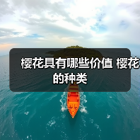 樱花具有哪些价值 樱花的种类（图4）