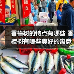 香樟树的特点有哪些 香樟树有哪些美好的寓意（图4）