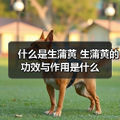 什么是生蒲黄 生蒲黄的功效与作用是什么（图3）