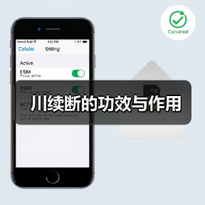 川续断的功效与作用（图2）