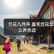 兰花几月开 夏天兰花怎么养合适（图4）