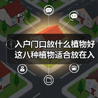 入户门口放什么植物好 这八种植物适合放在入户门口（图4）