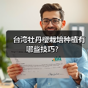台湾牡丹樱栽培种植有哪些技巧？（图3）