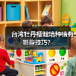 台湾牡丹樱栽培种植有哪些技巧？（图4）