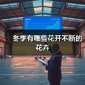 冬季有哪些花开不断的花卉（图4）