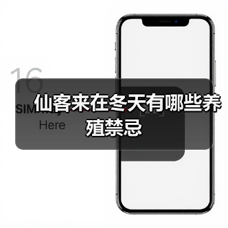 仙客来在冬天有哪些养殖禁忌（图2）