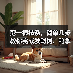 剪一根枝条，简单几步教你完成发财树、鸭掌木的繁殖（图4）