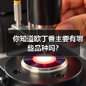 你知道欧丁香主要有哪些品种吗?（图2）