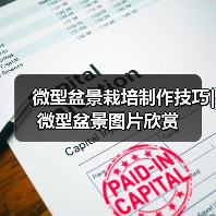 微型盆景栽培制作技巧| 微型盆景图片欣赏（图2）