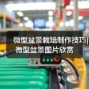 微型盆景栽培制作技巧| 微型盆景图片欣赏（图3）