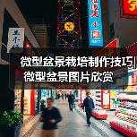 微型盆景栽培制作技巧| 微型盆景图片欣赏（图4）