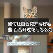 如何让百合花开得好看些 百合开过花后怎么处理（图3）
