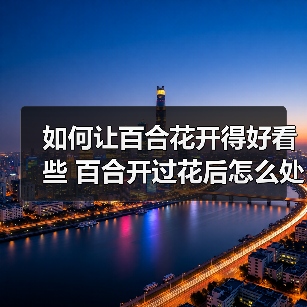 如何让百合花开得好看些 百合开过花后怎么处理（图2）