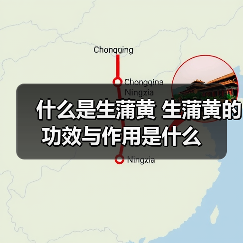 什么是生蒲黄 生蒲黄的功效与作用是什么（图2）
