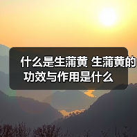 什么是生蒲黄 生蒲黄的功效与作用是什么（图1）
