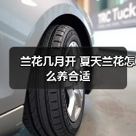 兰花几月开 夏天兰花怎么养合适（图1）