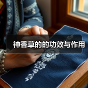 神香草的的功效与作用（图1）