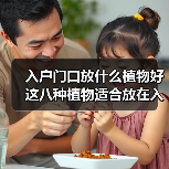 入户门口放什么植物好 这八种植物适合放在入户门口（图1）