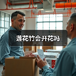 莲花竹会开花吗（图1）